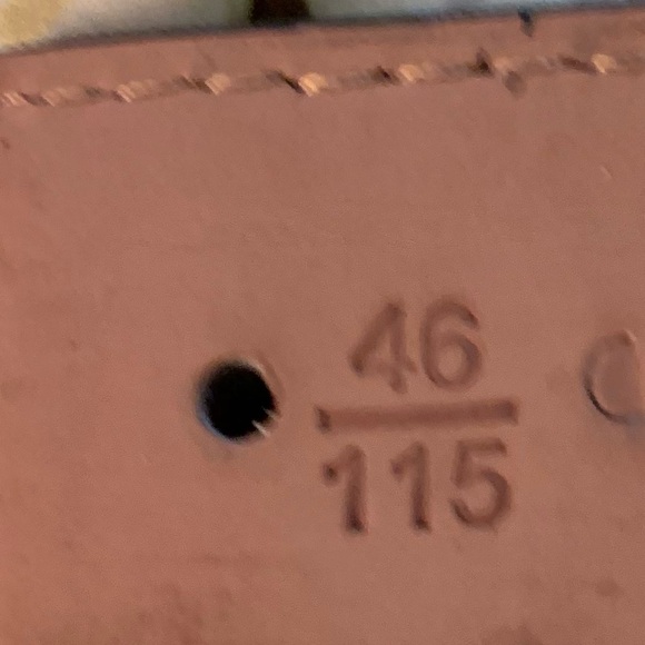 Gucci GG Supreme Monogram Blooms Interlocking G buckle hip or waist belt XL - Picture 8 of 14